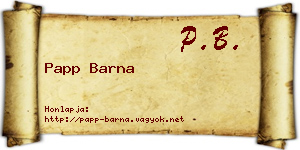 Papp Barna névjegykártya